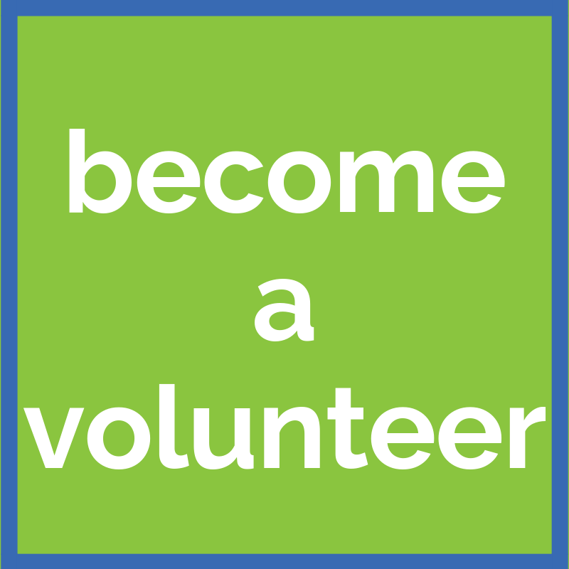 become a volunteer cube