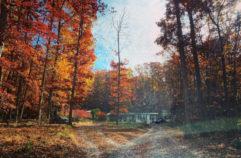 Rural West Virginia home with trees and pretty scenery